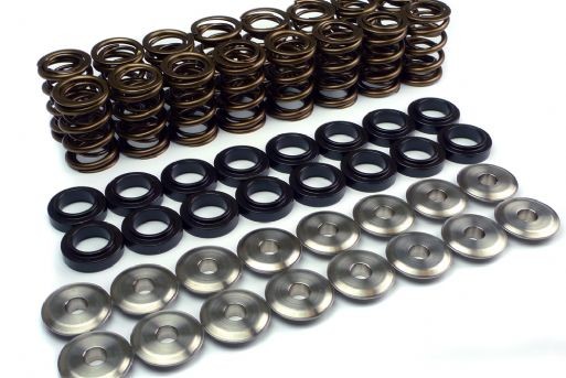 Supertech 1.8T 20V Valve Spring/Retainer Kit