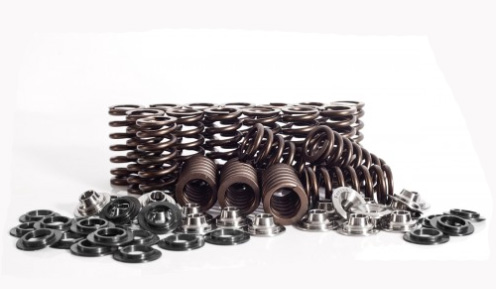 Ferrea Valve Spring/Retainer Kit 2.5L 20V 5 Cyl